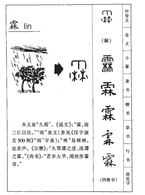 霖字五行|霖字五行属什么